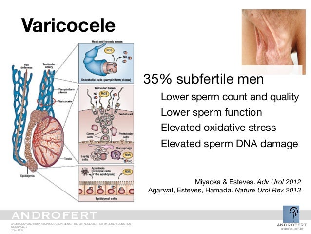Low sperm count factors Pan asian style
